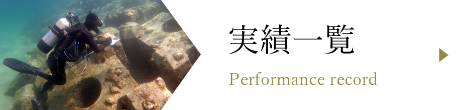 実績一覧